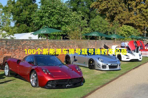 100个新能源车牌号靓号捷豹车价格