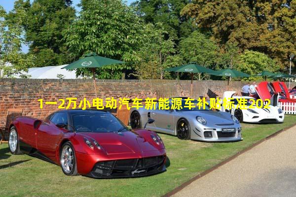 1一2万小电动汽车新能源车补贴标准2020电动车排行榜前十名